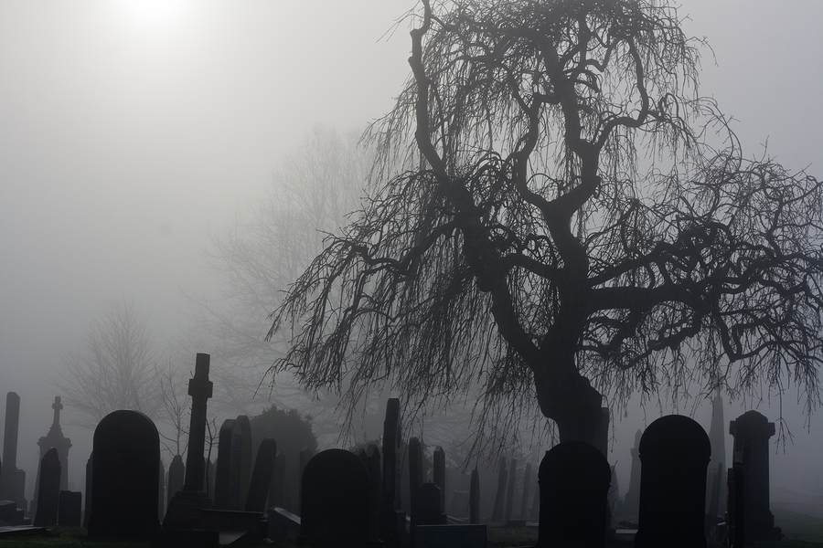 Big Questions, Important Answers: Why Seek the Living Among the Dead?