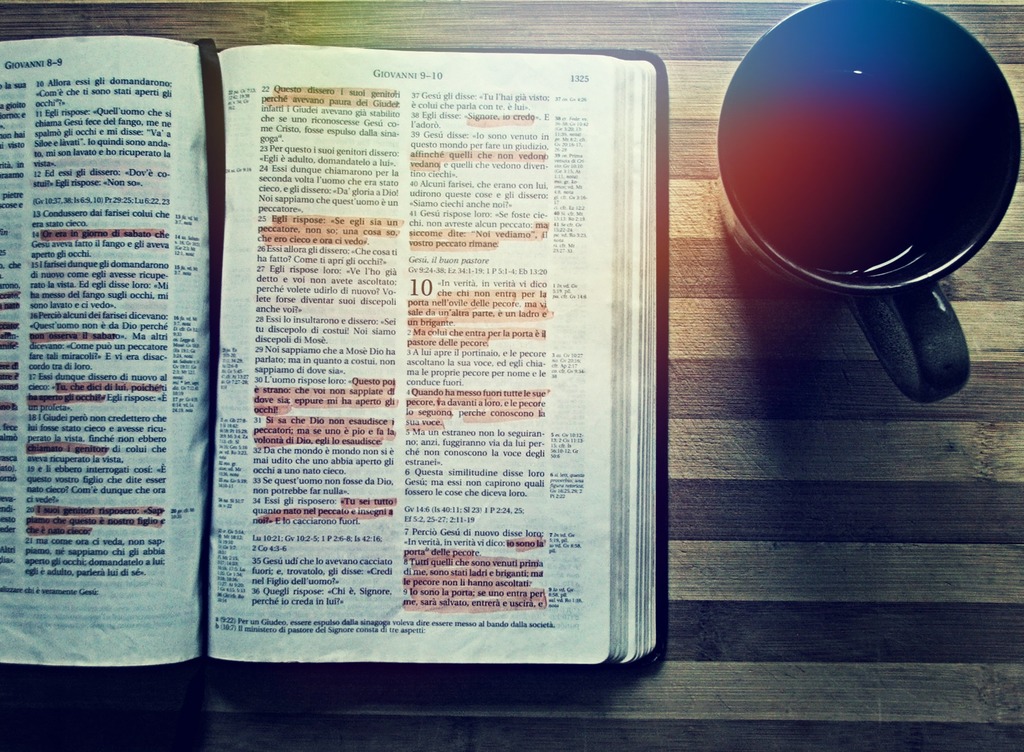 The Basics 3d – The Bible Speaks