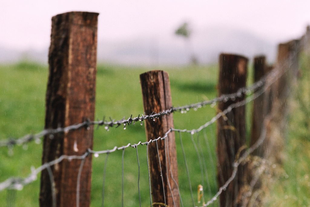 Check Your Fences