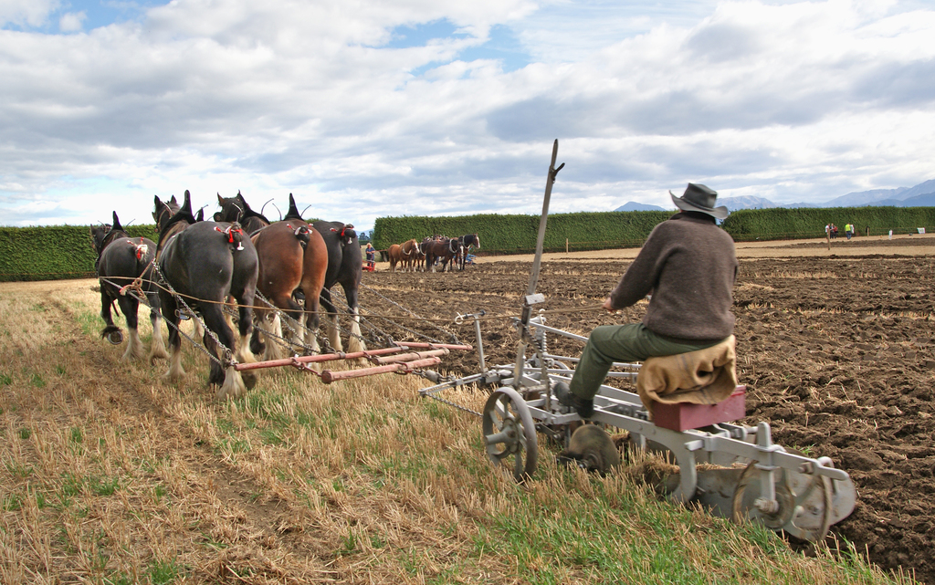 Plowing for a Harvest Proverbs 12:11