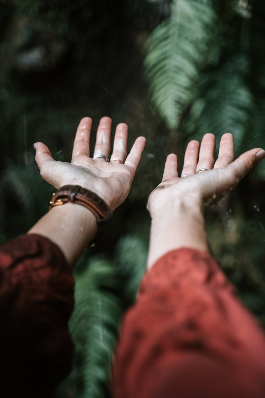 close up photo of wet hands