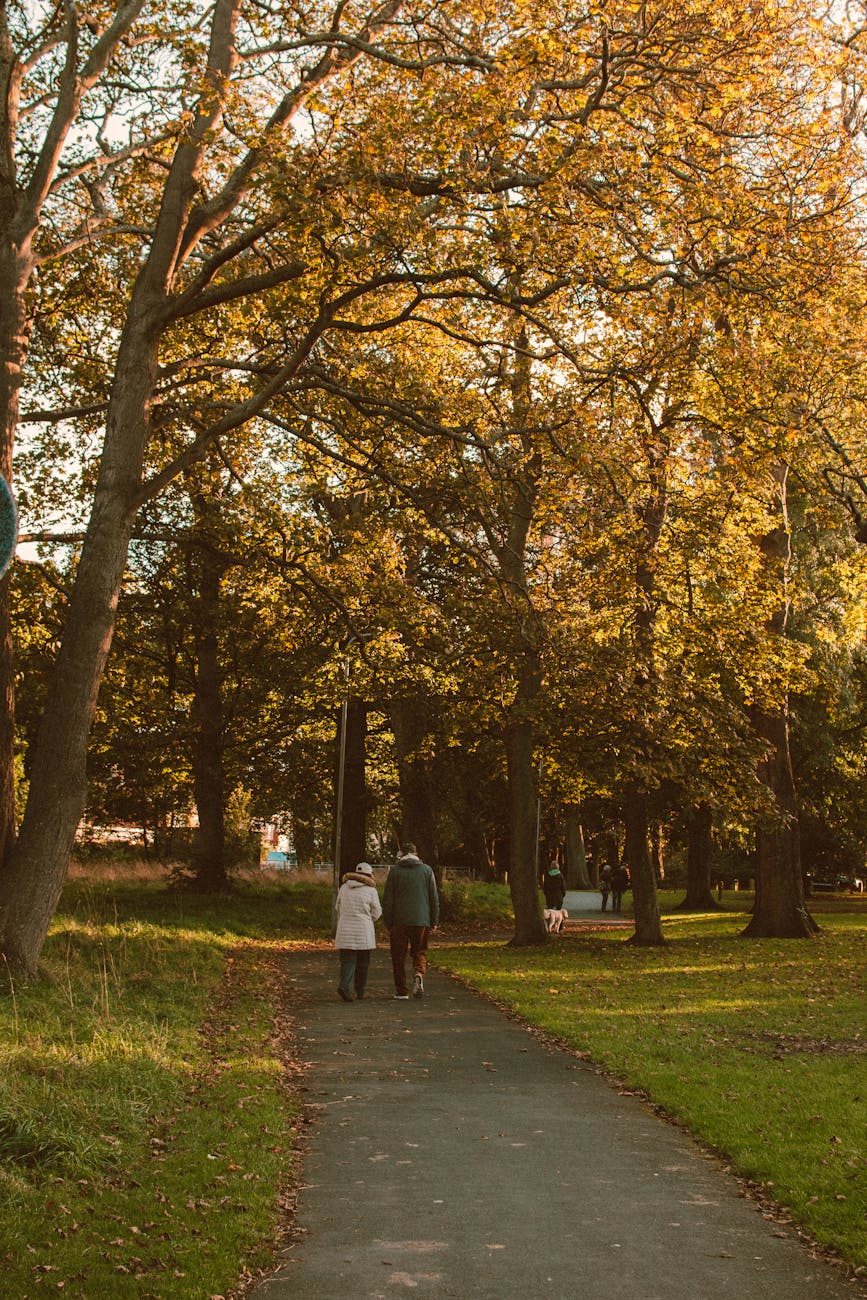 man and woman walking on pathway between trees